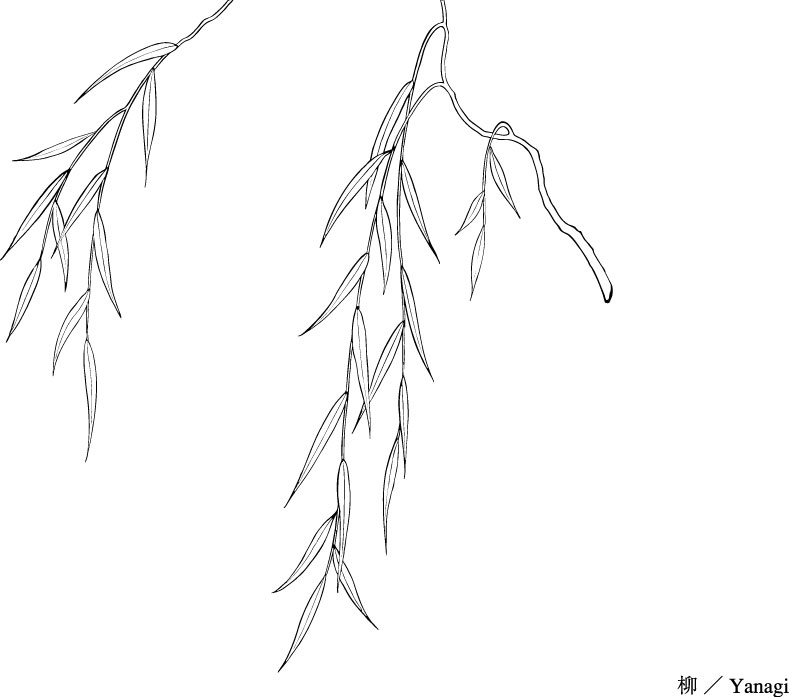 free vector Vector line drawing of flowers -50(dandelion, lily)