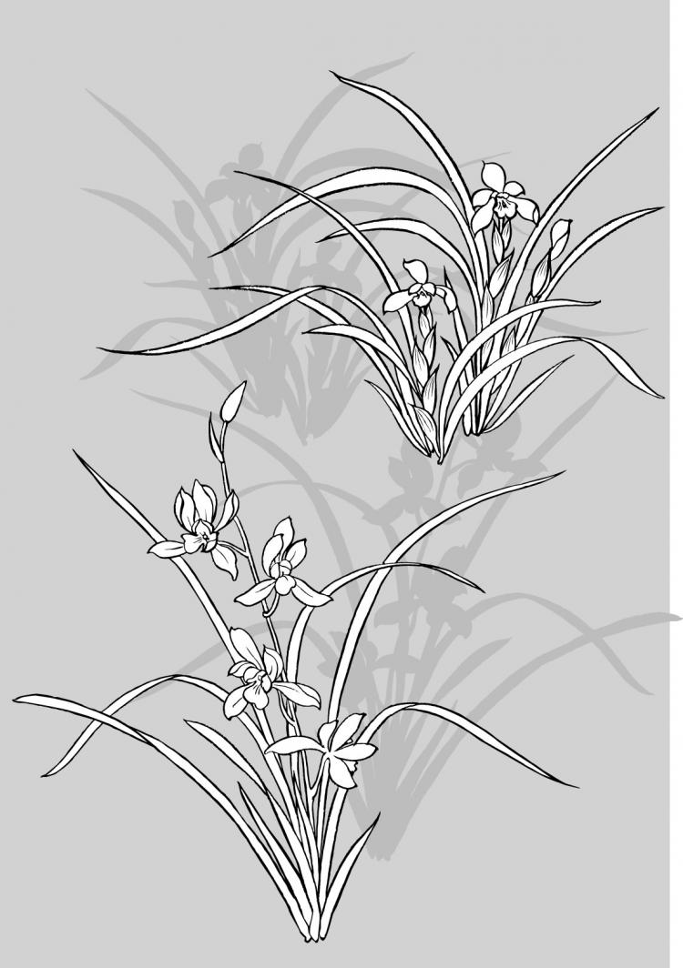 Download line drawing of flowers -50(dandelion, lily) (93562) Free EPS Download / 4 Vector