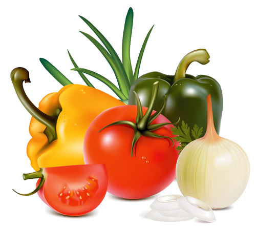 free vector Vector of common vegetables