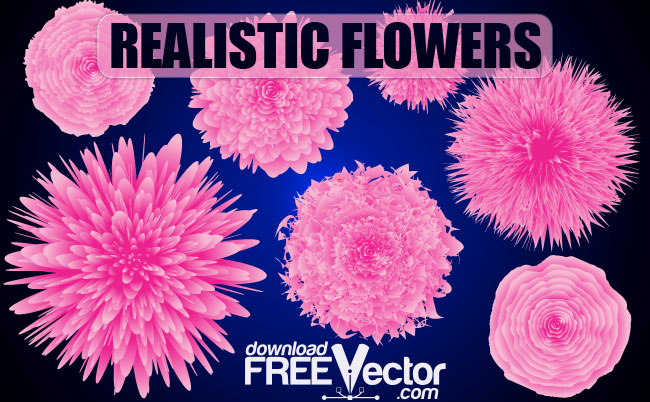 free vector Vector Realistic Flowers