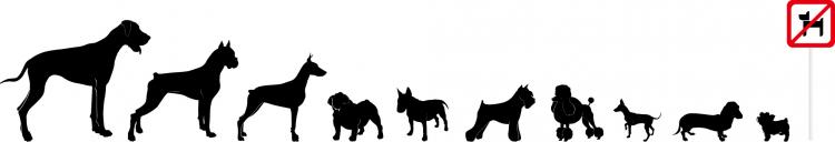 free vector Vector silhouette of a variety of dog material