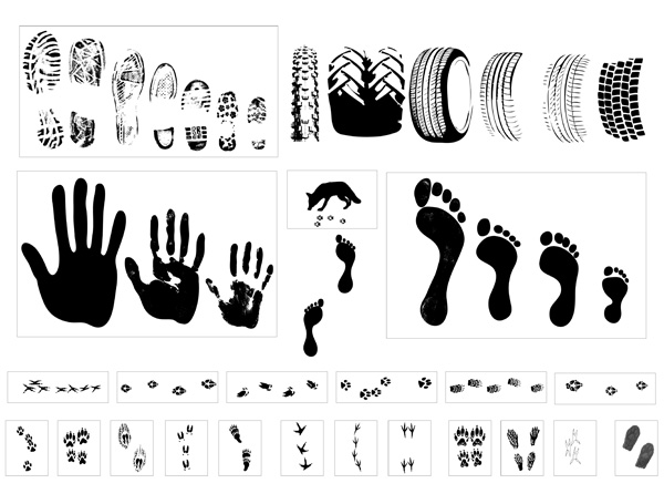 free vector Vector traces of footprints tires
