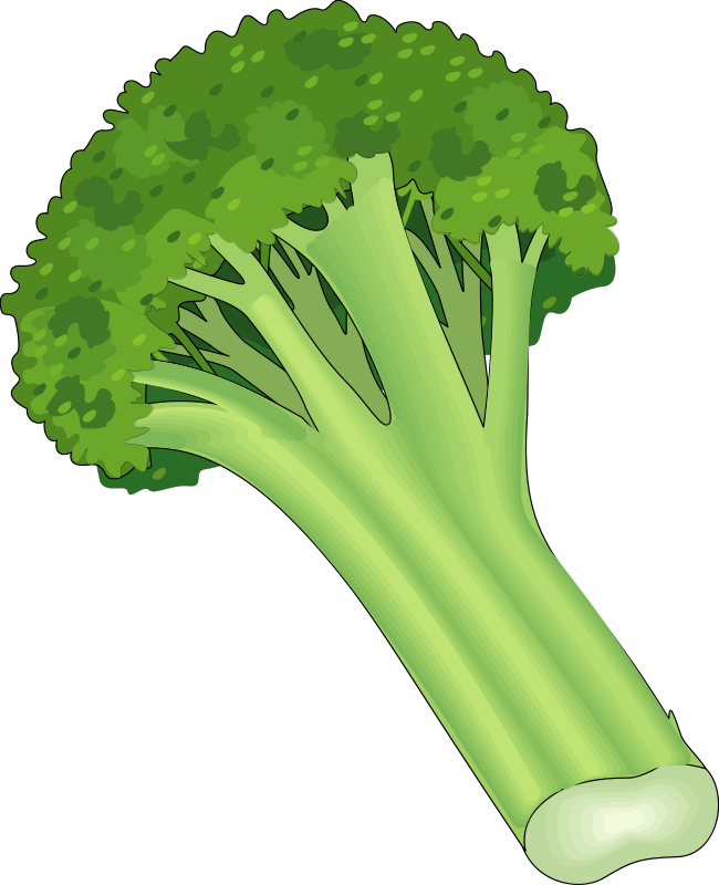 free vector Vegetables 22