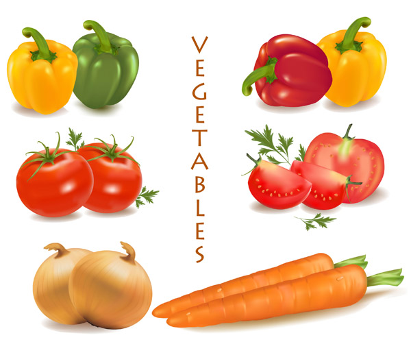 free vector Vegetables vector