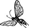 free vector Wasp clip art