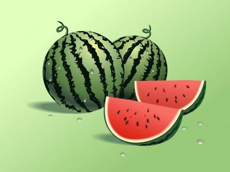 free vector Watermelon