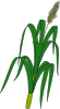 free vector Wheat Plant Food clip art