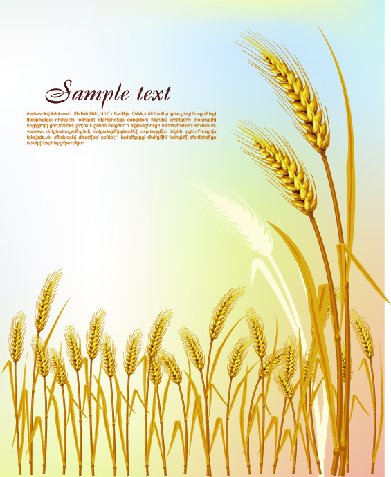 Wheat (4347) Free EPS Download / 4 Vector