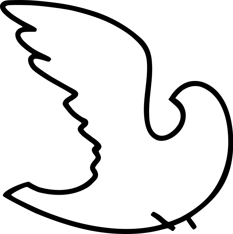 free vector White dove