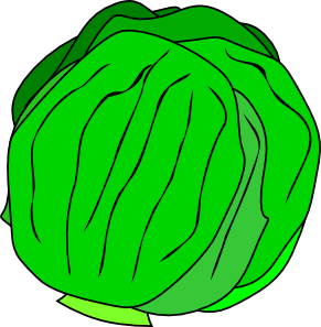 free vector Whole Lettuce clip art