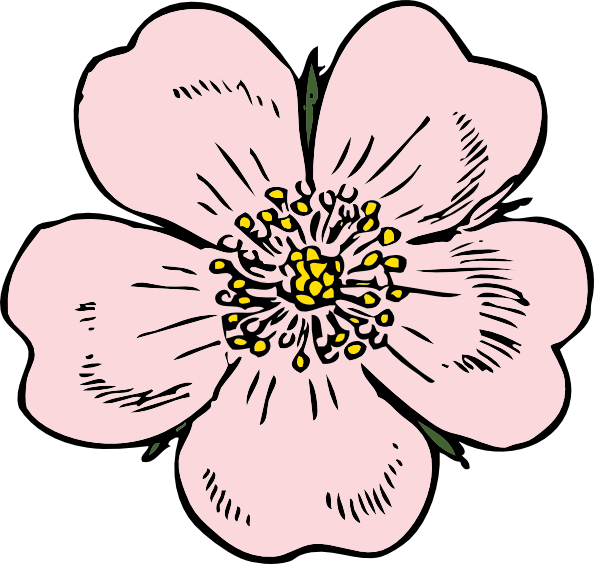 free vector Wild Rose clip art