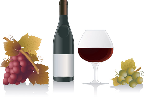 free vector Wine grapes vector