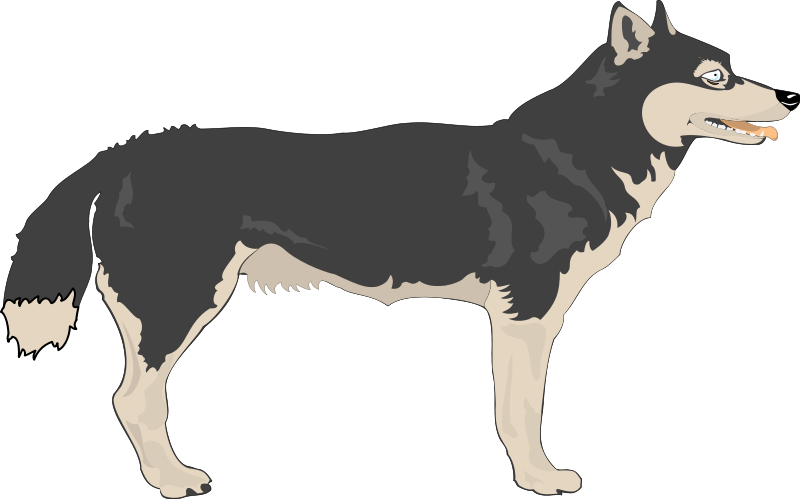 free vector Wolf