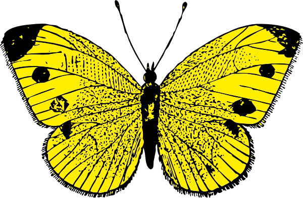 free vector Yellow Butterfly clip art