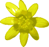 Download Yellow Flower clip art (115063) Free SVG Download / 4 Vector