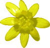 free vector Yellow Flower clip art