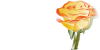 free vector Yellow Rose clip art