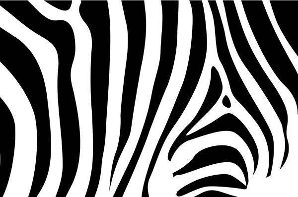free vector Zebra background