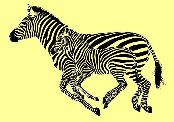 free vector Zebra vector material