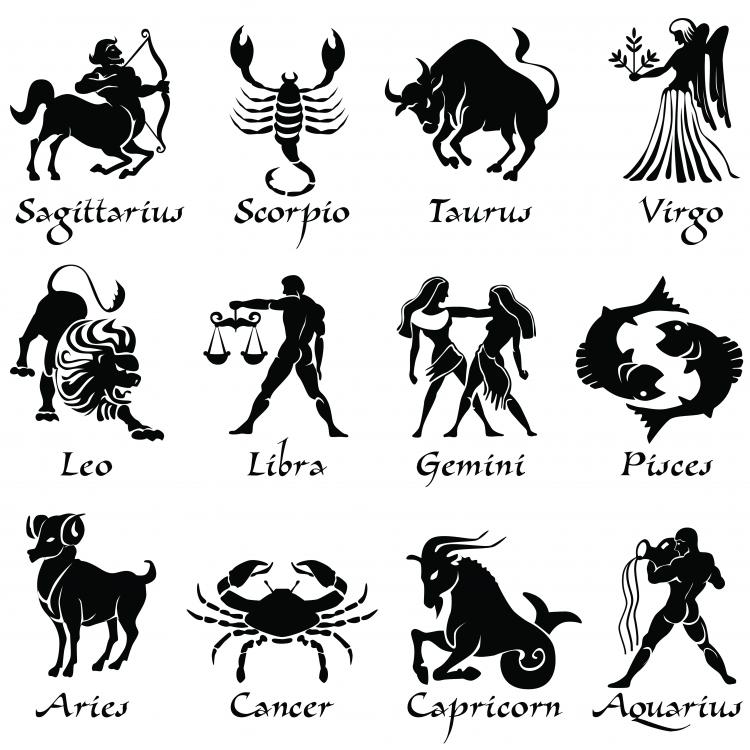 free vector Zodiac graphic silhouette vector
