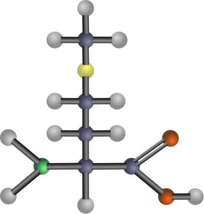 Methionine (amino acid)