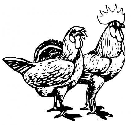 Poultry 2