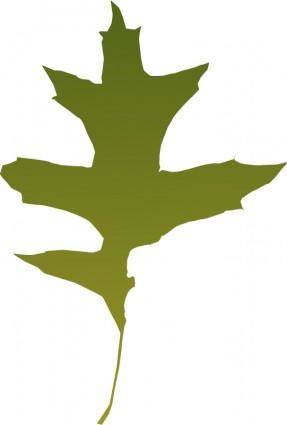 Leaf oak green