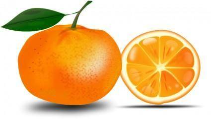 Slice of an orange