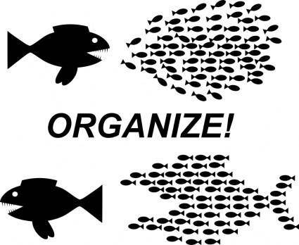 Organize!