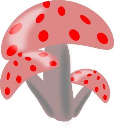 Ciuperci Mushrooms clip art