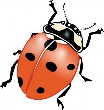 Ladybug clip art