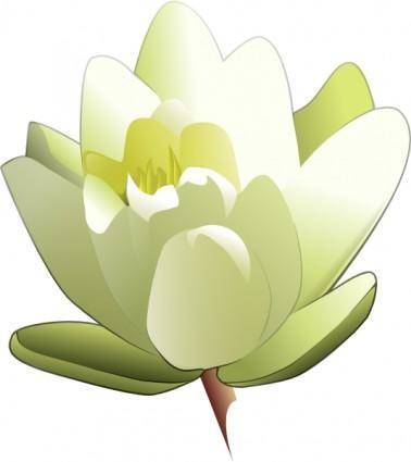 Leland Mcinnes Water Lily clip art