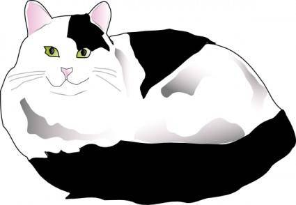 Missiridia Black And White Fluffy Cat clip art