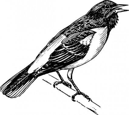 Singing Bird clip art