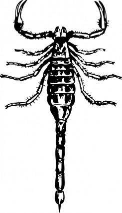 Scorpion clip art