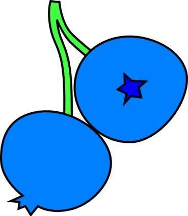 Blueberries clip art