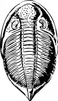 Trilobite clip art