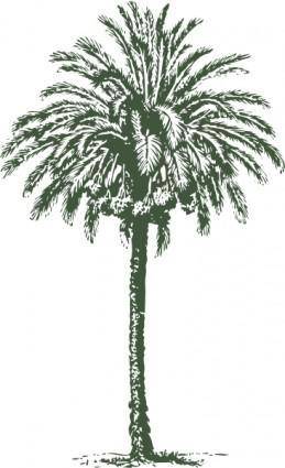 Date Palm clip art