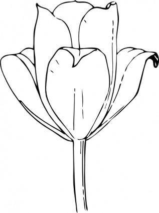 Tulip Flower clip art