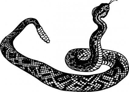 Rattle Snake clip art