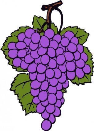 Grape Cluster clip art