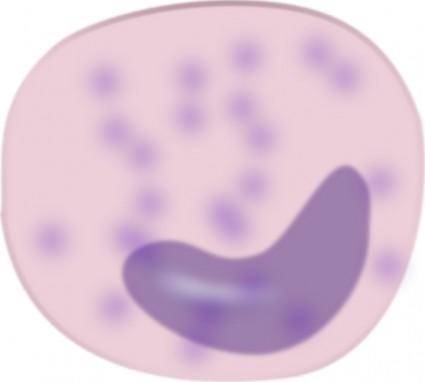 Monocyte Cell clip art