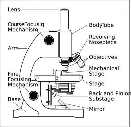 Microscope With Labels clip art