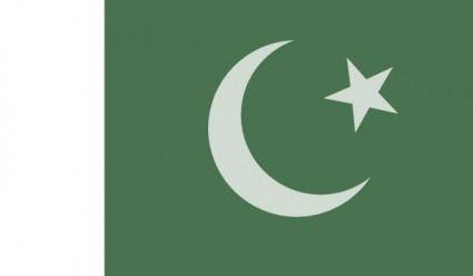 Pakistan Official Flag clip art