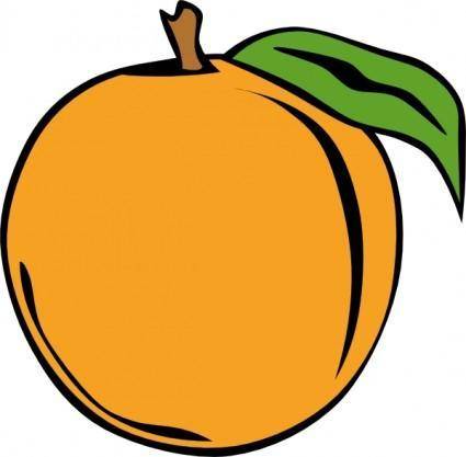 Fruit Orange clip art