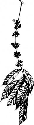 Coffee Plant clip art