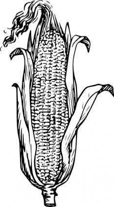 Corn clip art