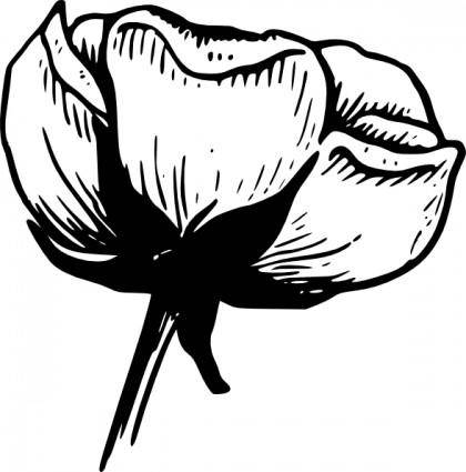 Calyx Of A Flower clip art