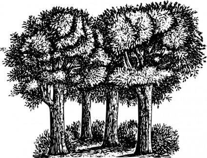 Group Of Trees clip art