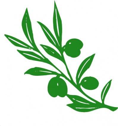 Olive Tree Branch clip art